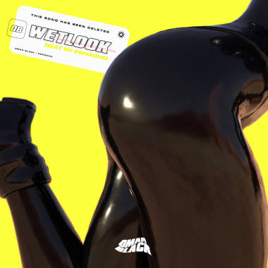W E T L O O K