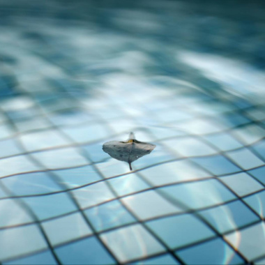 你就這樣閉嘴了