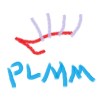 PLMM 寧缺勿濫