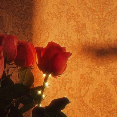 Romantic Bedroom
