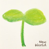 New World