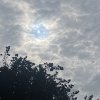 風