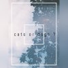 亦猫或狗