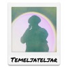 Temeljateljar 光 (Demo)