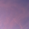 Angel's wing