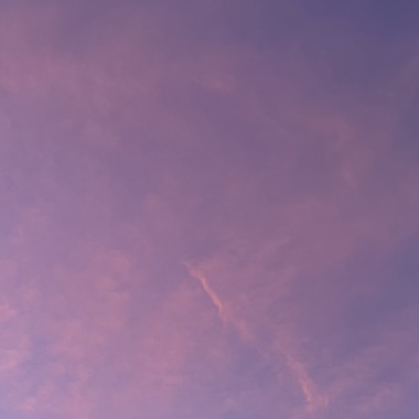 Angel's wing