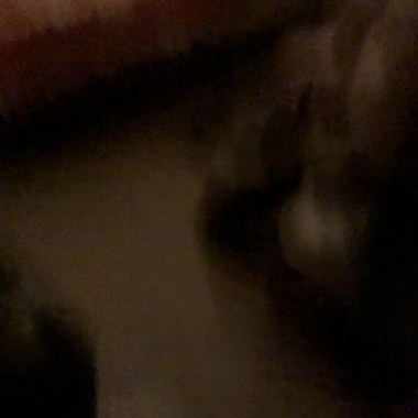 2023.04.20