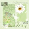 Daisy（黛西）