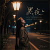 黑夜《The Night》第一部