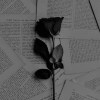 曖昧不清 ft.Zn