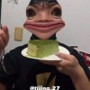 青蛙之歌