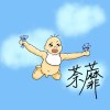 媽寶之歌demo
