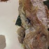 別說對不起demo