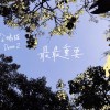 【最最重要 The Most Important】企鵝貓Demo#2