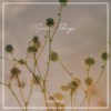 Small Things (demo)