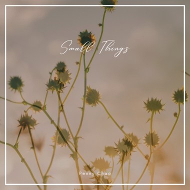 Small Things (demo)