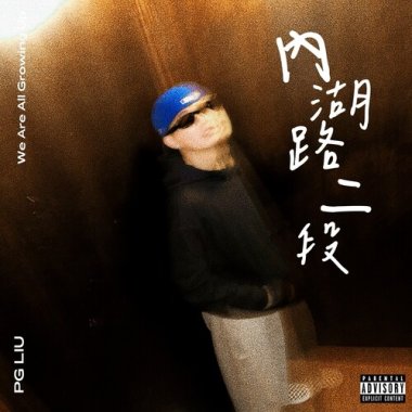 內湖路二段 (demo)