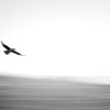 low_tide