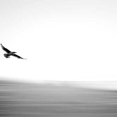 low_tide