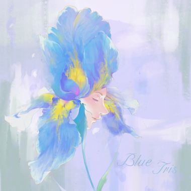 藍色鳶尾
