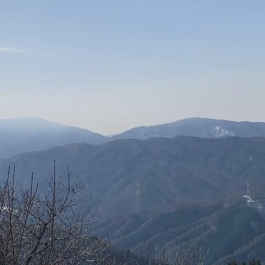 未(試做板）