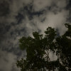 沙漠