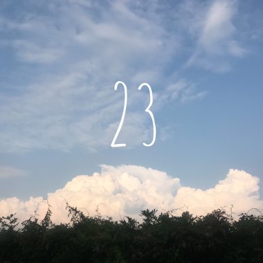 二十三