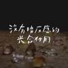 沒有暗反應的光合作用