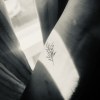 我是會落淚的花 demo