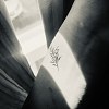 我是會落淚的花 demo