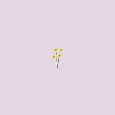 繁花