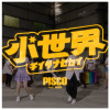 小世界