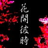花開彼時