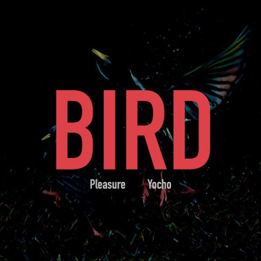 09.BIRD(Tones Rap Remix)