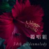 34獨唱組_台藝大_戲劇三_劉宜淳