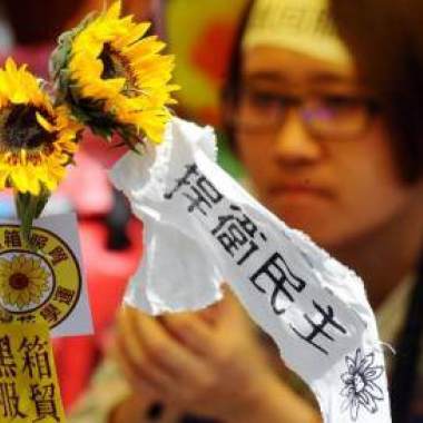 太陽花的春天