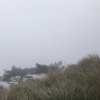 Hiking in the Grass Mountain  草山行