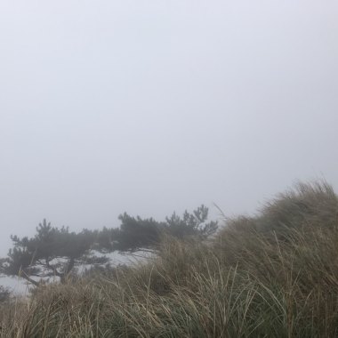 Hiking in the Grass Mountain  草山行