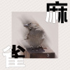 麻雀麻雀