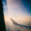 fly