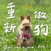 重新做狗 Turn over a new dog（Demo）