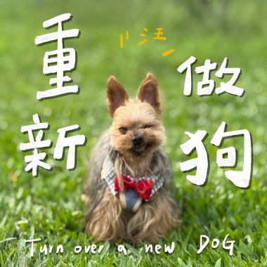 重新做狗 Turn over a new dog（Demo）
