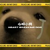 心碎小狗 Heart breaking dog