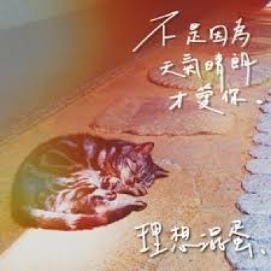 理想渾蛋-不是因為天氣晴朗才愛你cover