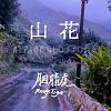 胭脂虎RougeTiger - 山花(Alpine Blossom)