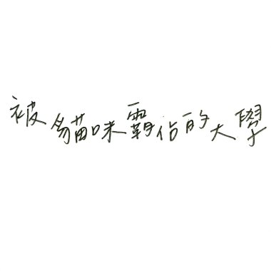 國立聯合大學110級畢業歌-被貓咪霸佔的大學