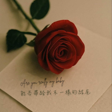 玫瑰 demo