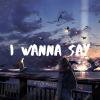 I Wanna Say