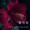 34獨唱組_政治大學_歷史一_許晏誠