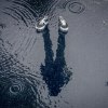 YRTG 放棄治療- SHADOW (audio)